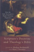Scripture's Doctrine and Theology's Bible:  How the New Testament Shapes Christian Dogmatics